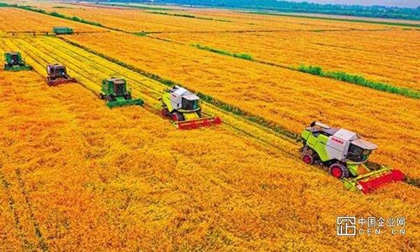 农业农村部：全国大规模小麦机收基本结束 