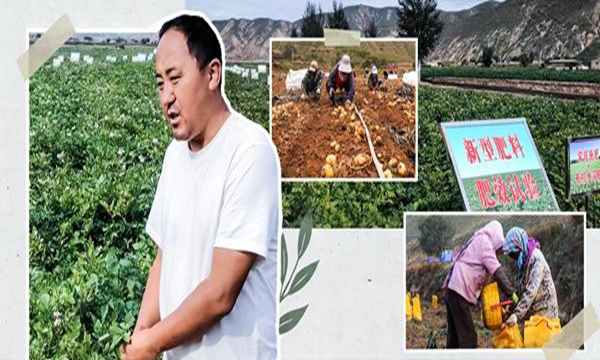 崔振峰 | 守护马铃薯“种子芯片”