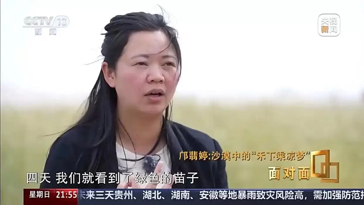 面对面丨黄沙生绿浪 她用种子解锁盐碱地新希望