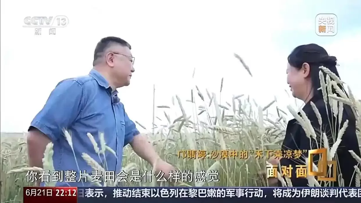 面对面丨黄沙生绿浪 她用种子解锁盐碱地新希望