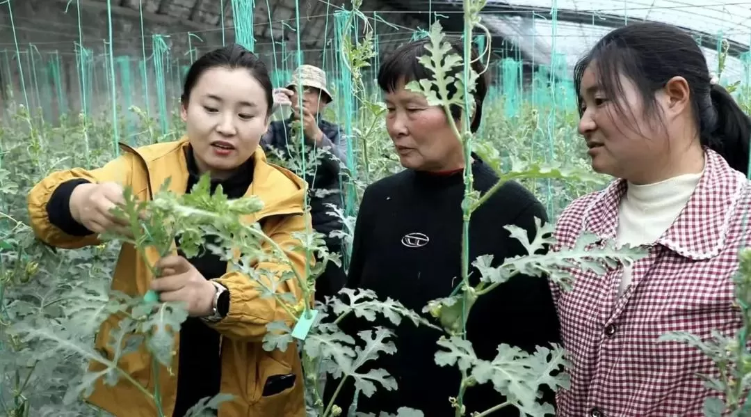 魏瑾瑾：吃得苦中苦 育出甜中甜